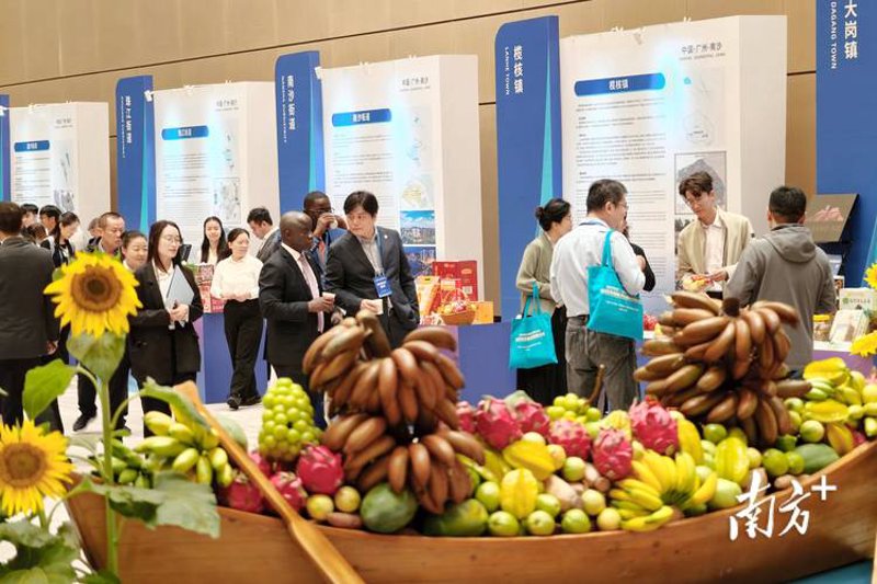 行业动态分析：从厦门纳煊贸易有限公司看行业发展趋势
