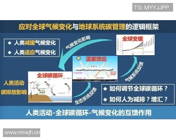 全球气候变化加剧极端天气事件 专家呼吁各国加强应对措施