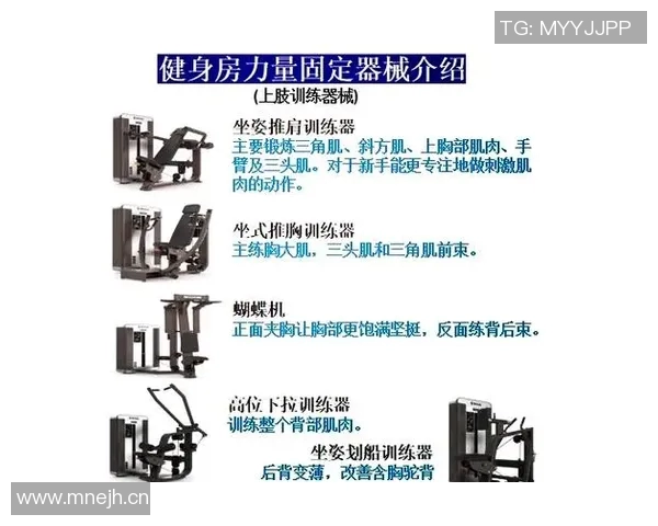 健身之道:从基础训练到专业技巧全面解析打造健康强身的终极指南 健身之道:从基础训练到专业技巧全面解析打造健康强身的终极指南